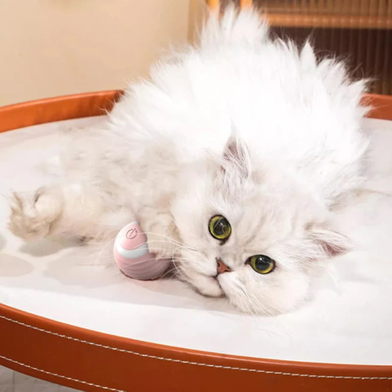 Cat Interactive Ball Training Self-moving Kitten Electric Cat Ball Toys Electronic Automatic Rolling Magic Ball Toys for Cat - 02ALABA