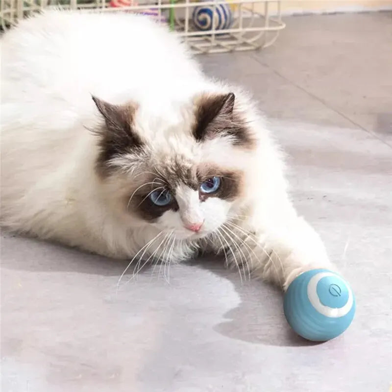 Cat Interactive Ball Training Self-moving Kitten Electric Cat Ball Toys Electronic Automatic Rolling Magic Ball Toys for Cat - 02ALABA