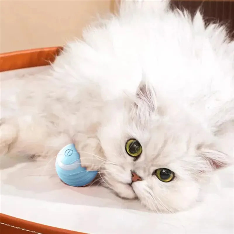 Cat Interactive Ball Training Self-moving Kitten Electric Cat Ball Toys Electronic Automatic Rolling Magic Ball Toys for Cat - 02ALABA
