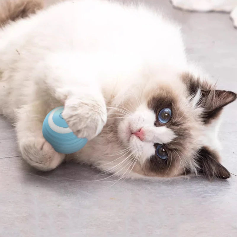 Cat Interactive Ball Training Self-moving Kitten Electric Cat Ball Toys Electronic Automatic Rolling Magic Ball Toys for Cat - 02ALABA