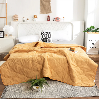 Factory price Silk Blanket Silky Cooling Thin Quilt Summer Blanket Can  machine-wash Single/Queen/King Size