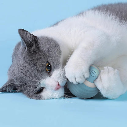Cat Interactive Ball Training Self-moving Kitten Electric Cat Ball Toys Electronic Automatic Rolling Magic Ball Toys for Cat - 02ALABA