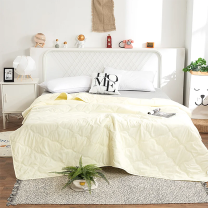 Factory price Silk Blanket Silky Cooling Thin Quilt Summer Blanket Can  machine-wash Single/Queen/King Size
