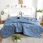 Factory price Silk Blanket Silky Cooling Thin Quilt Summer Blanket Can  machine-wash Single/Queen/King Size